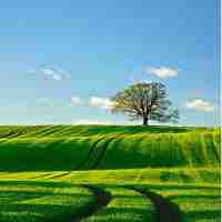 免‌费​网﻿页​加‍速‍器‍下​载‌